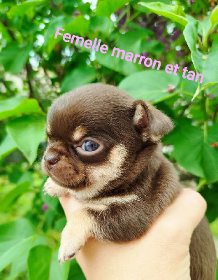 Femelle 1